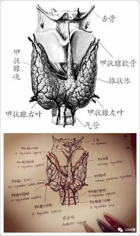 澳门新葡官网进入网站8883