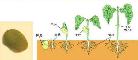 澳门新葡官网进入网站8883